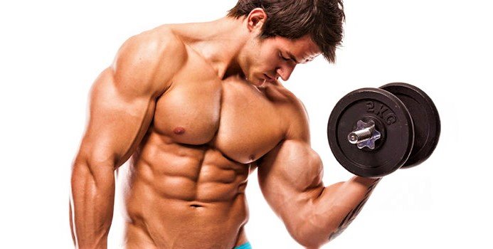 All about bodybuilding